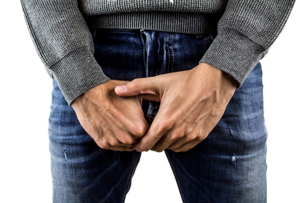 testicles