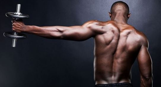 muscle perks