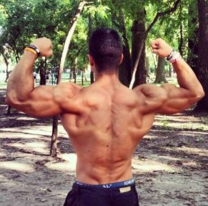 muscle 