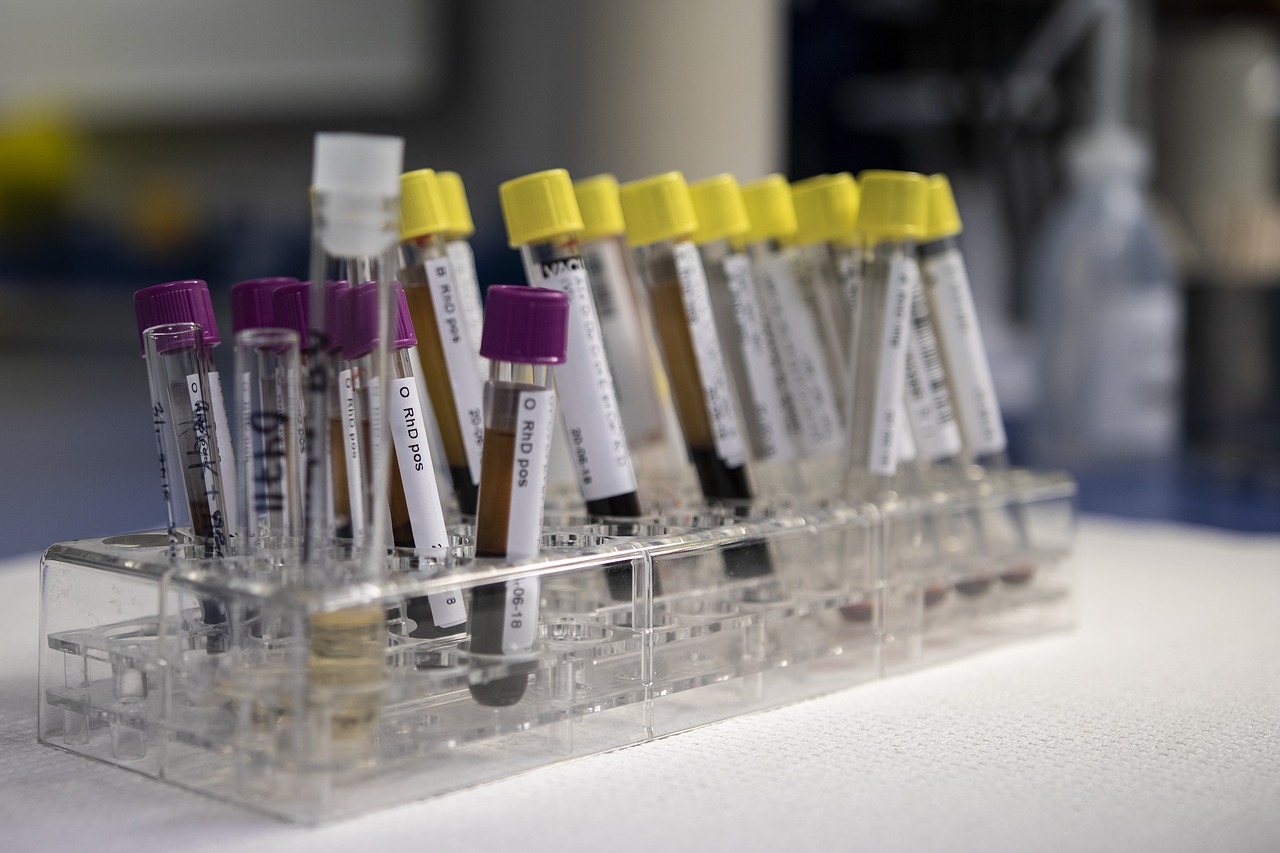 lab